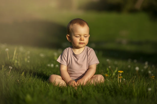 13 Spring Toddler Activities Using Nature