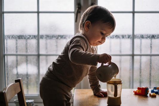 11 Montessori Activities for Toddlers on Rainy Days