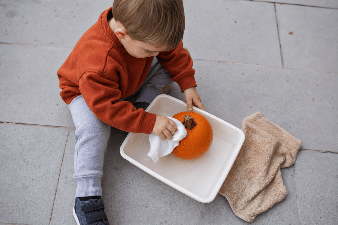 9 Montessori Fall Activities for Toddlers