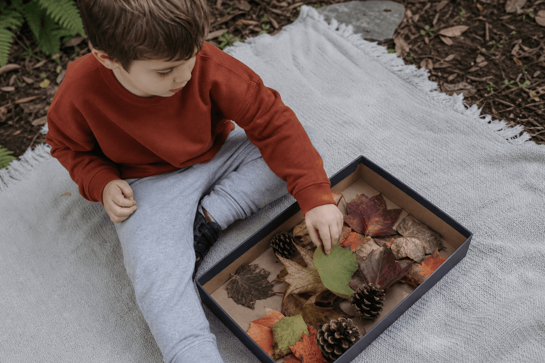 7 Montessori Fall Activities for Preschoolers Without a Montessori Shelf