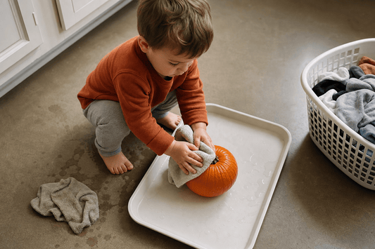 9 Montessori Fall Activities for Toddlers That Actually Last
