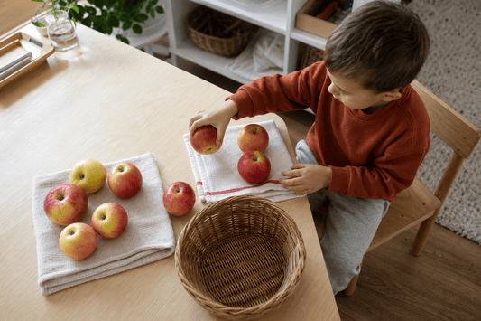 9 Montessori Fall Activities for Preschoolers