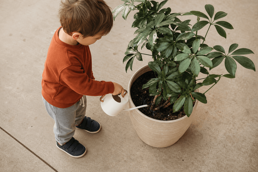 9 Montessori Fall Practical Life Activities for Preschoolers