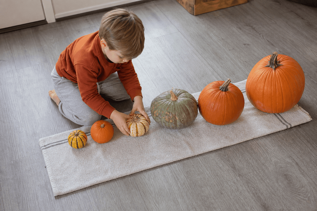 9 Montessori Fall Activities for Preschoolers Without Worksheets