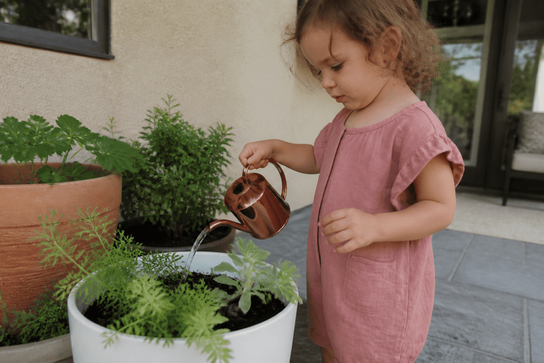 7 Summer Activities for 2.5 Year Olds When Days Feel Too Long