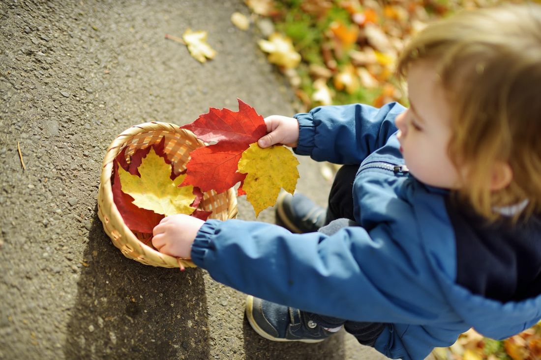7 Fall Toddler Activities With Almost No Prep