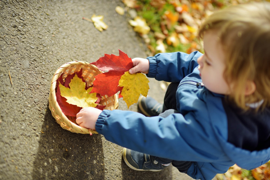 7 Fall Toddler Activities With Almost No Prep