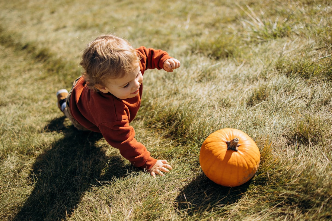 9 Fall Toddler Activities
