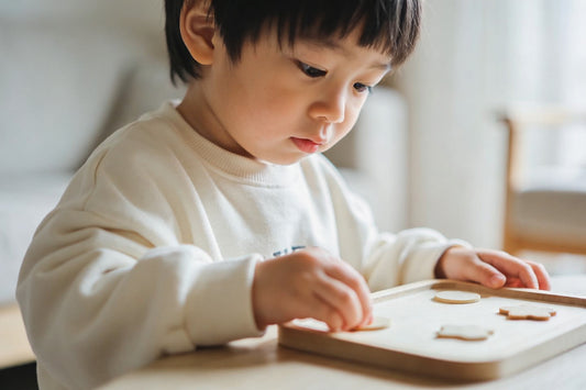 10 Montessori Activities for 2 Year Olds That Build Focus